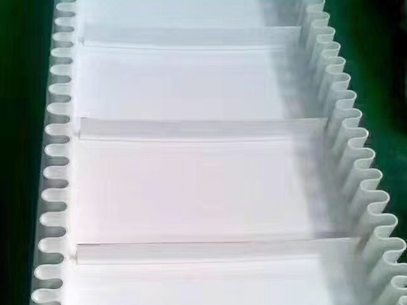 食品行業(yè)輸送機