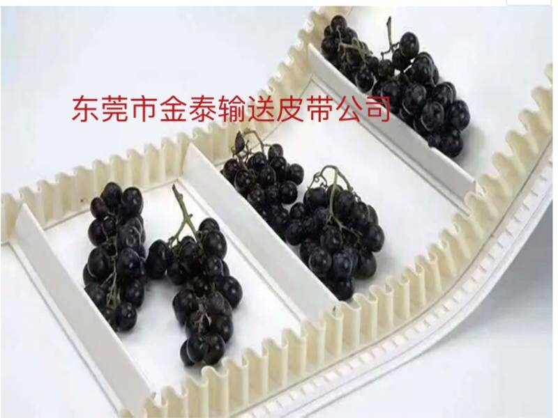 硅膠輸送帶應(yīng)用場所7